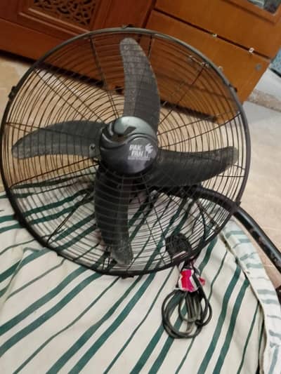pak fan