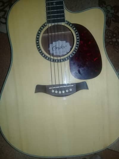 Condor Semi-Acoustic Guitar for Sale