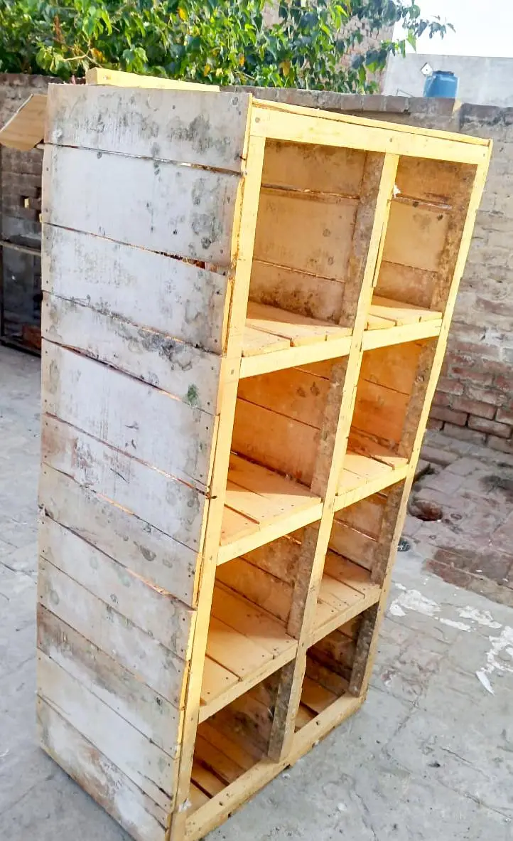 Pigeons breeding box — photo 2