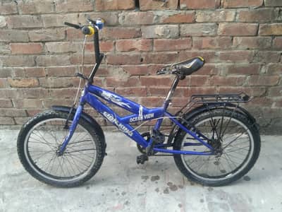 Lion King Ocean View 20" Japanese Cycle