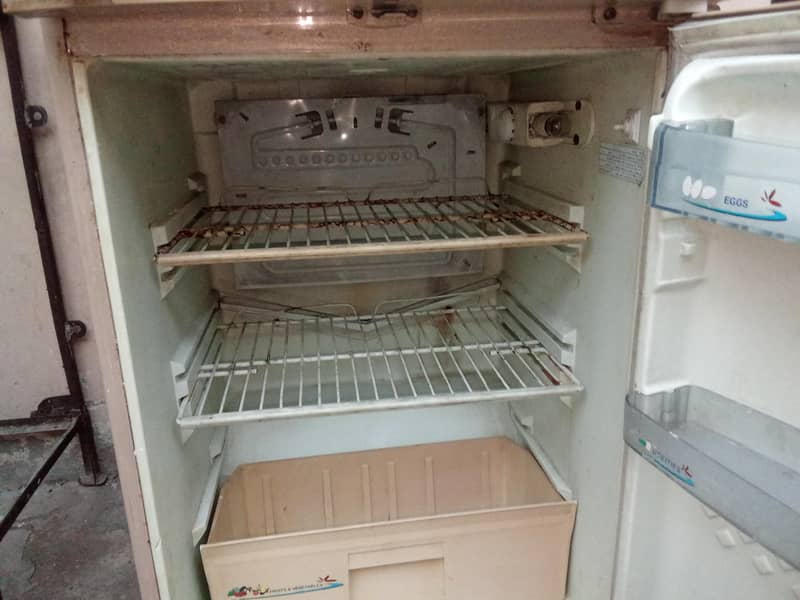fridge 1
