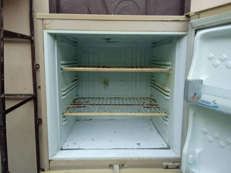 fridge 2