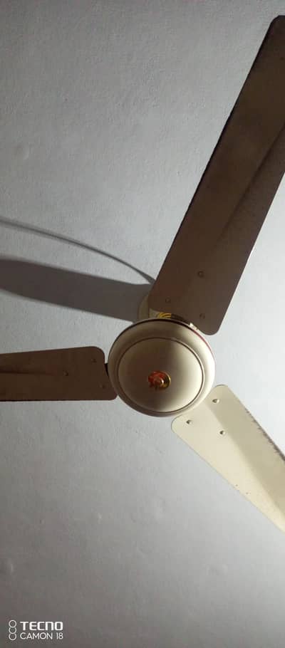 best quality 17 fans for sale