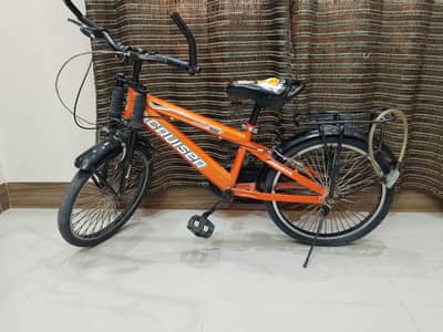 Sports Bicycle 20" – Good Condition | Single Speed