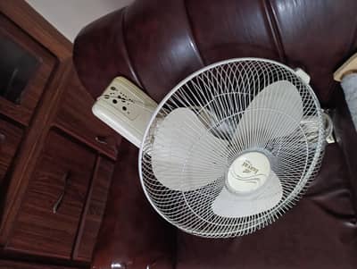 inayat bracket fan