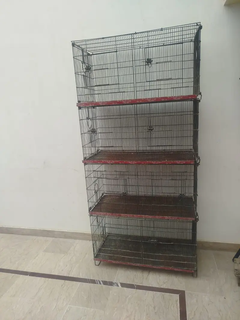 brids cage /4 portion folding cage /mitthu cage /love birds box