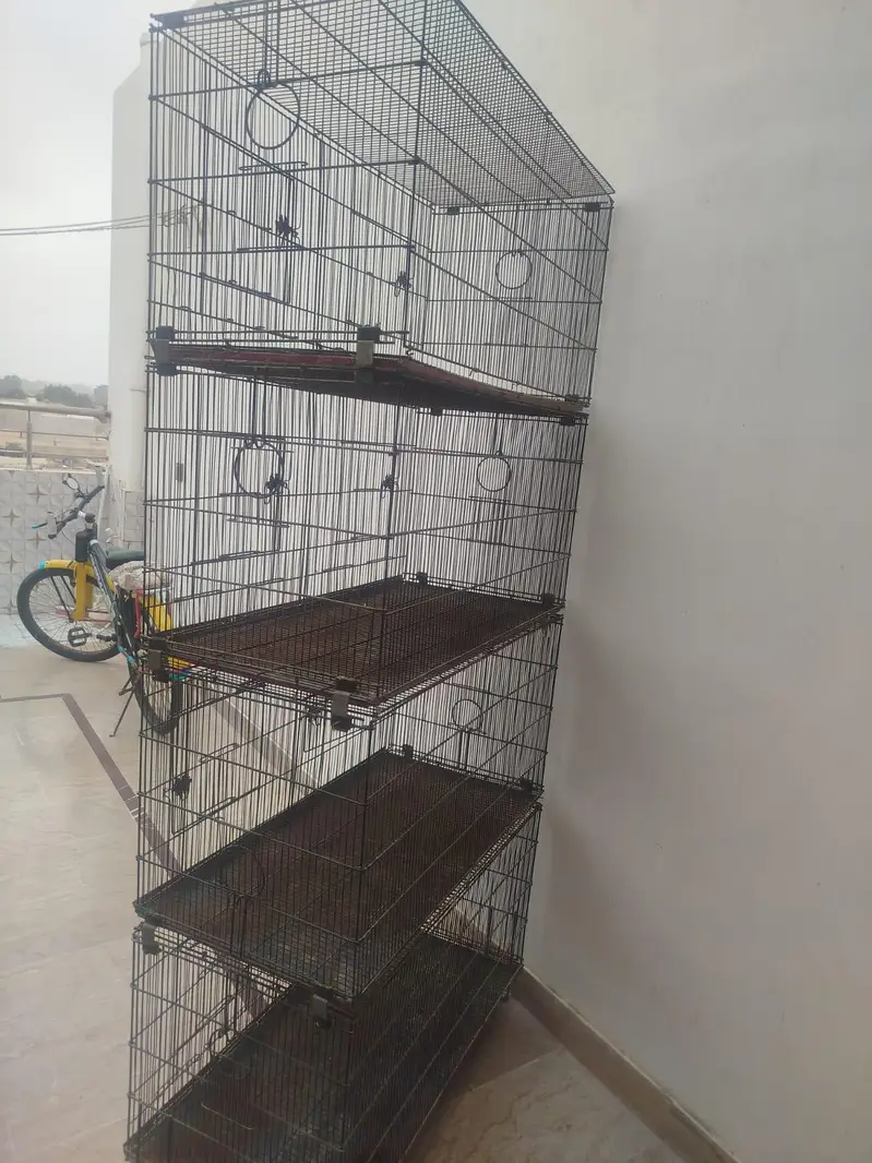 brids cage /4 portion folding cage /mitthu cage /love birds box — photo 2