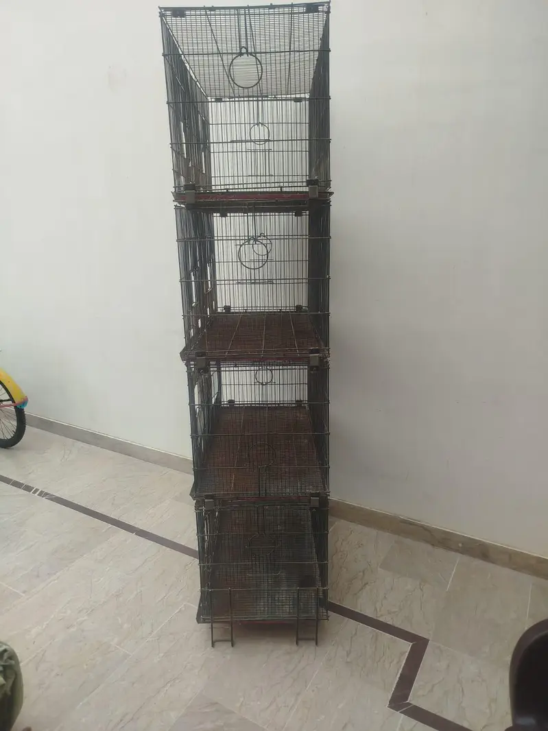 brids cage /4 portion folding cage /mitthu cage /love birds box — photo 3
