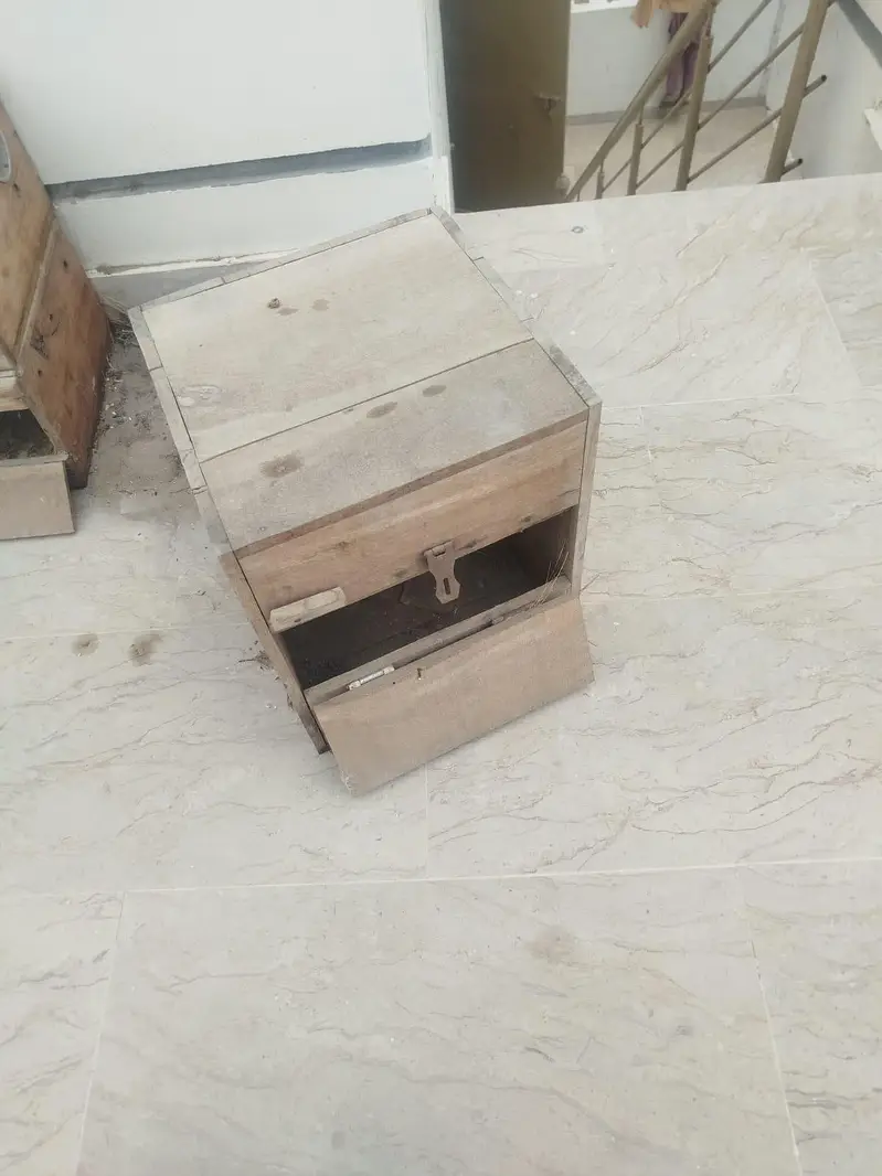 brids cage /4 portion folding cage /mitthu cage /love birds box — photo 4