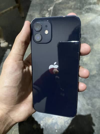 Apple iPhone 12