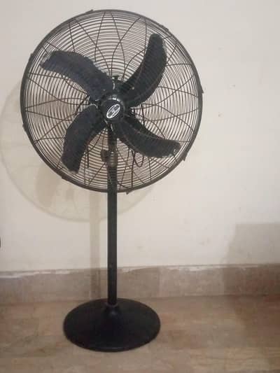 Pedestal Fan