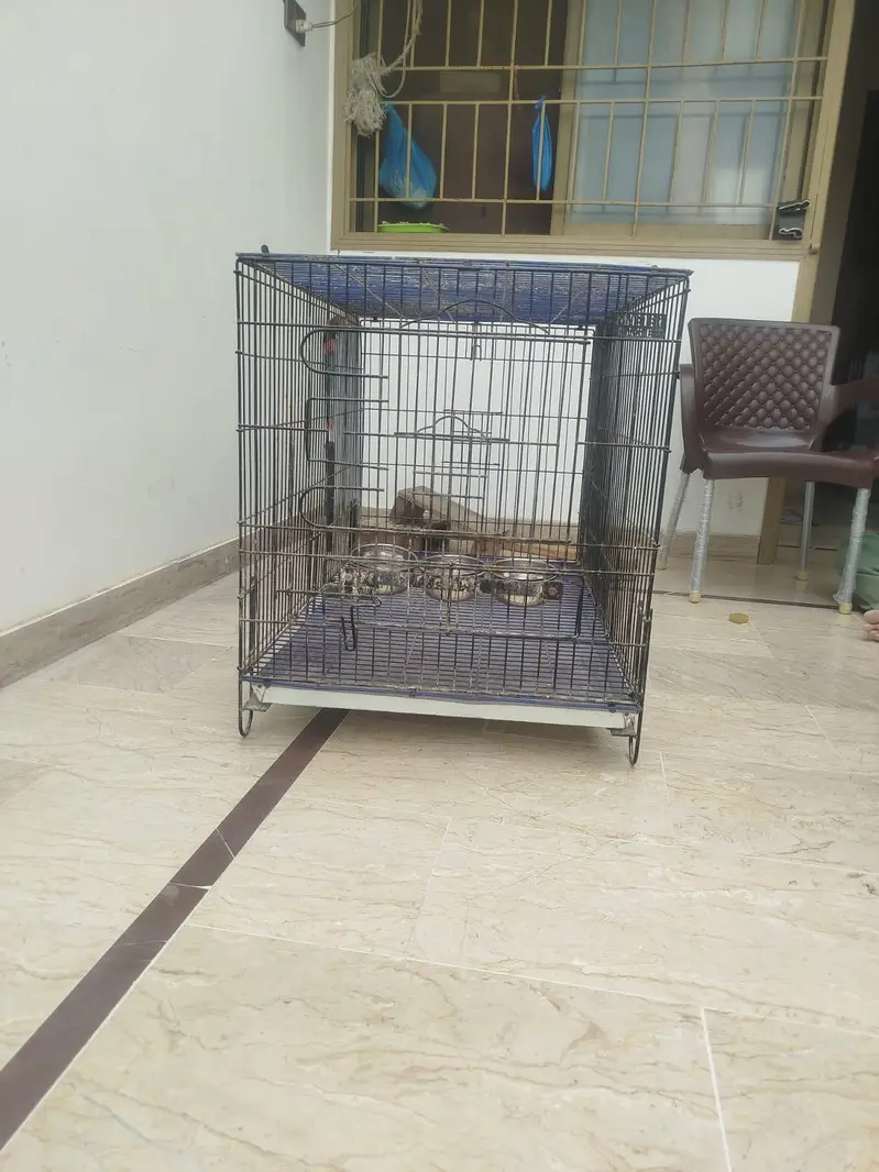 brids cage /4 portion folding cage /mitthu cage /love birds box — photo 6