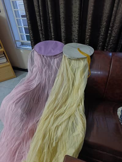 2 x Mosquito Nets