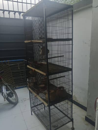 iron Cage 4 Portion
