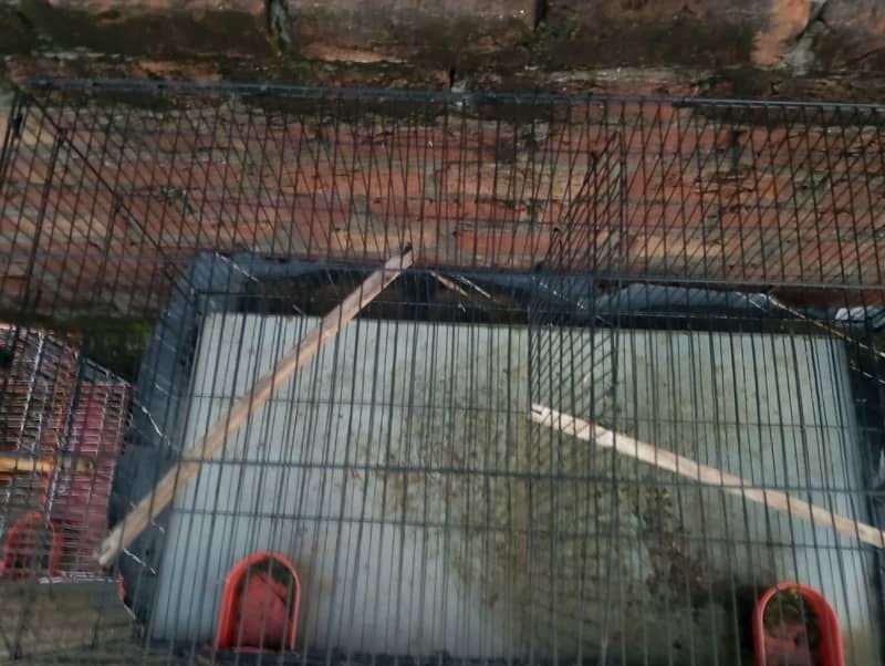CAGE U 1