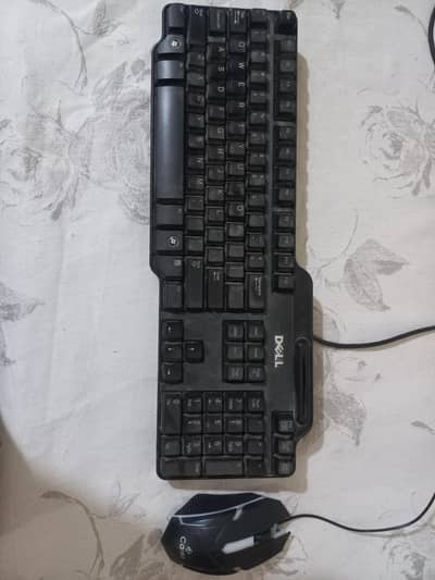 High Quality Dell Company Black Keyboard with a Rgb Gaming Mouse
