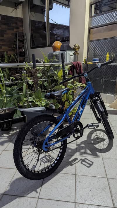Sumac 24 inches cycle