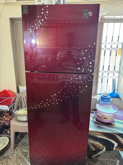 PEL Double Door Glass Door Refrigerator – Excellent Condition