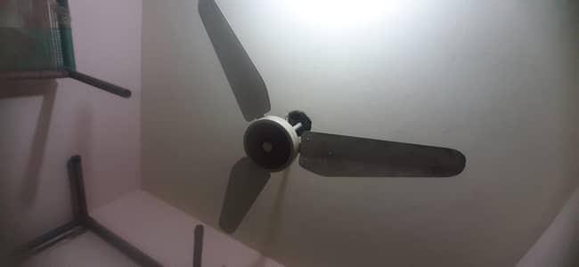 Lahore Fan