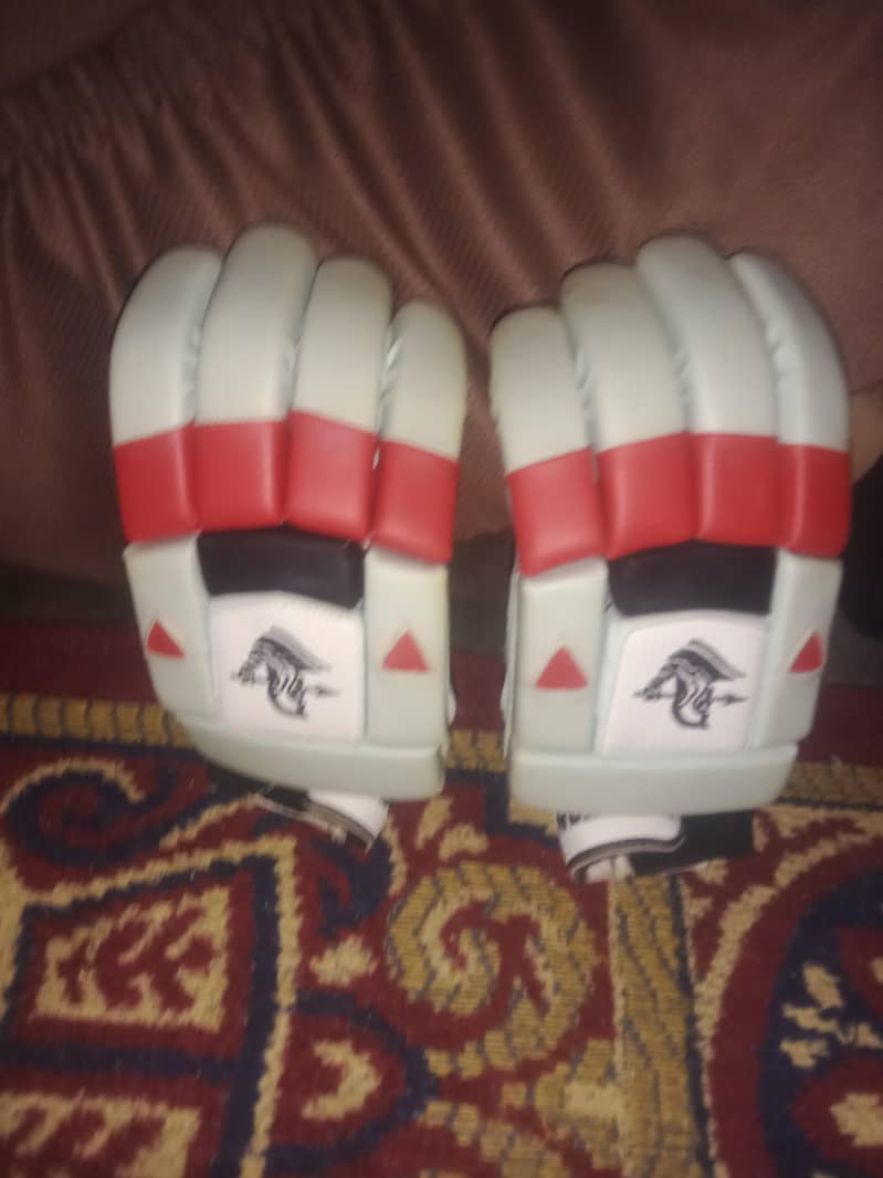 cricket kit 3