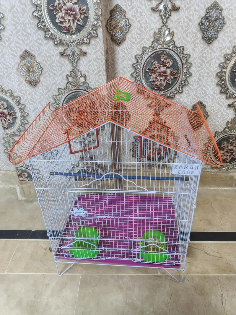 Parrot Cage — photo 3