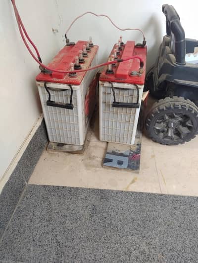 Two  Tall Tubular Batteries