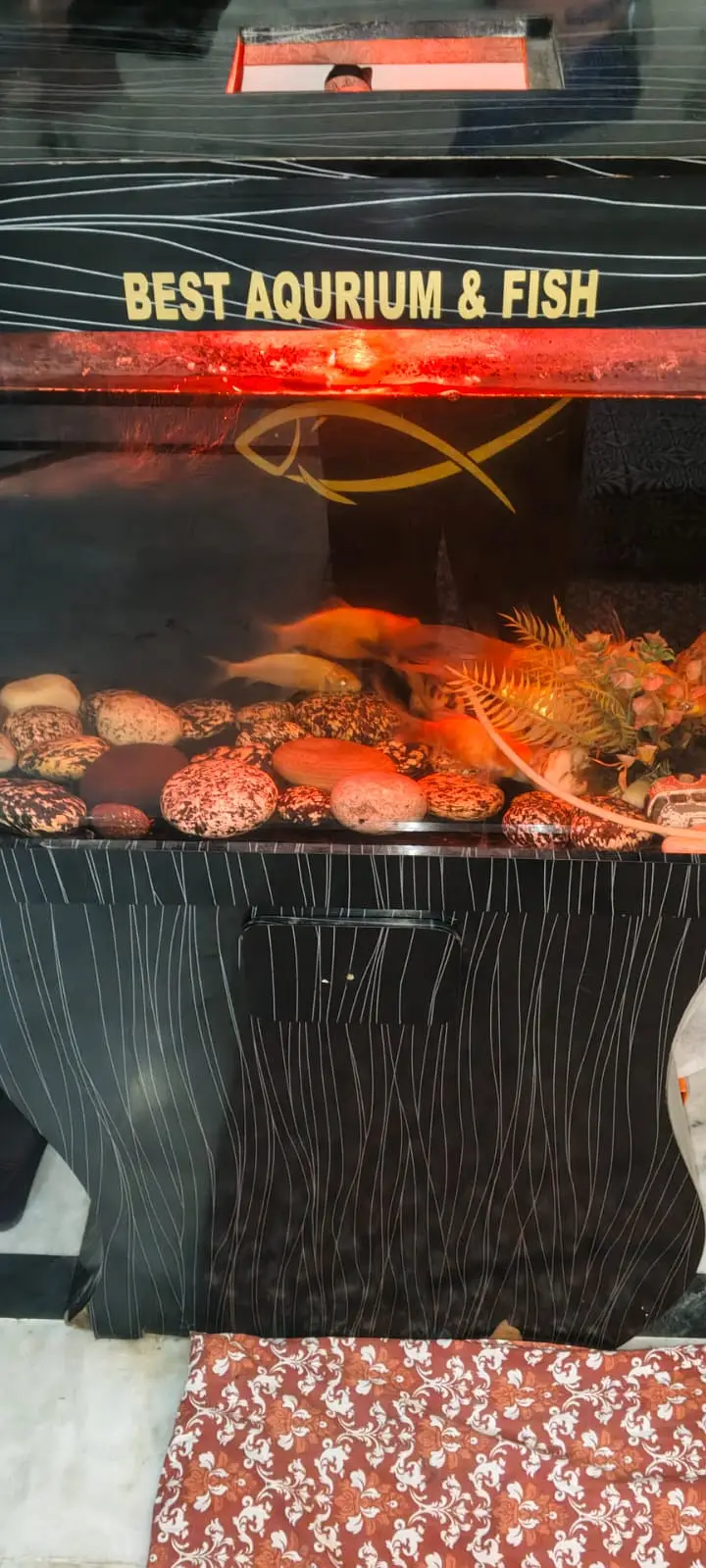 Best aquarium — photo 2