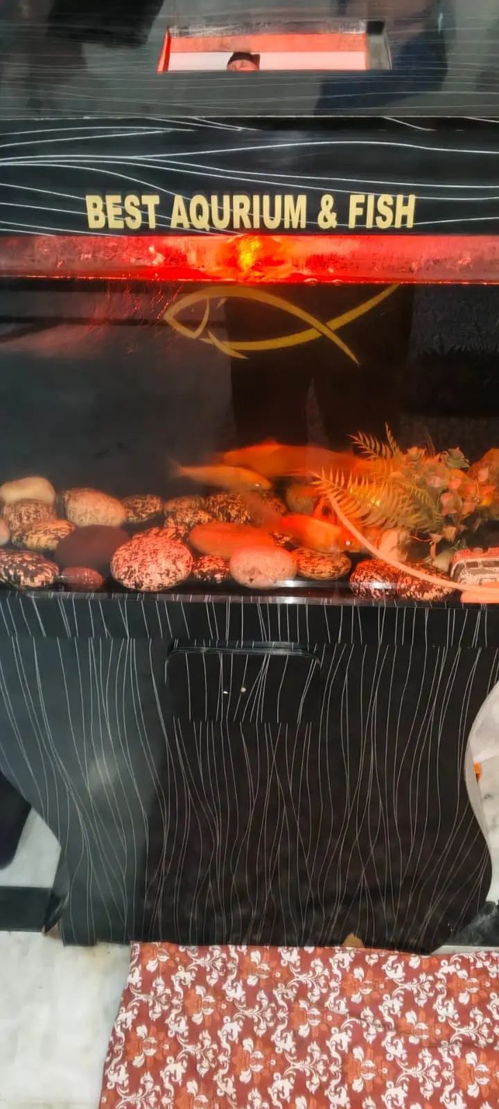 Best aquarium — photo 3