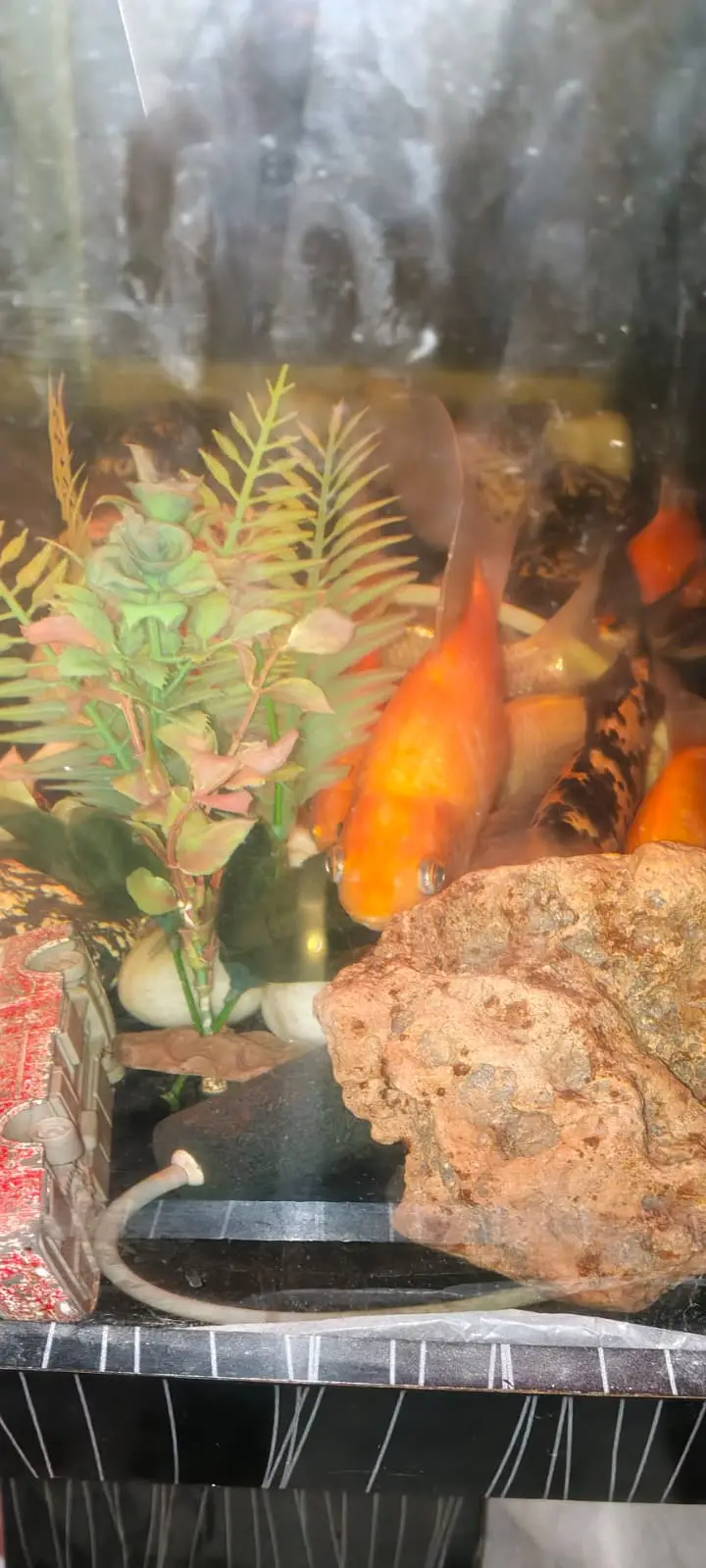 Best aquarium — photo 4