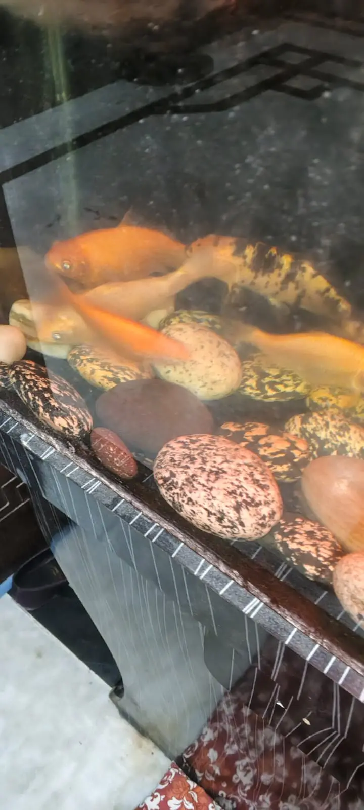 Best aquarium — photo 5