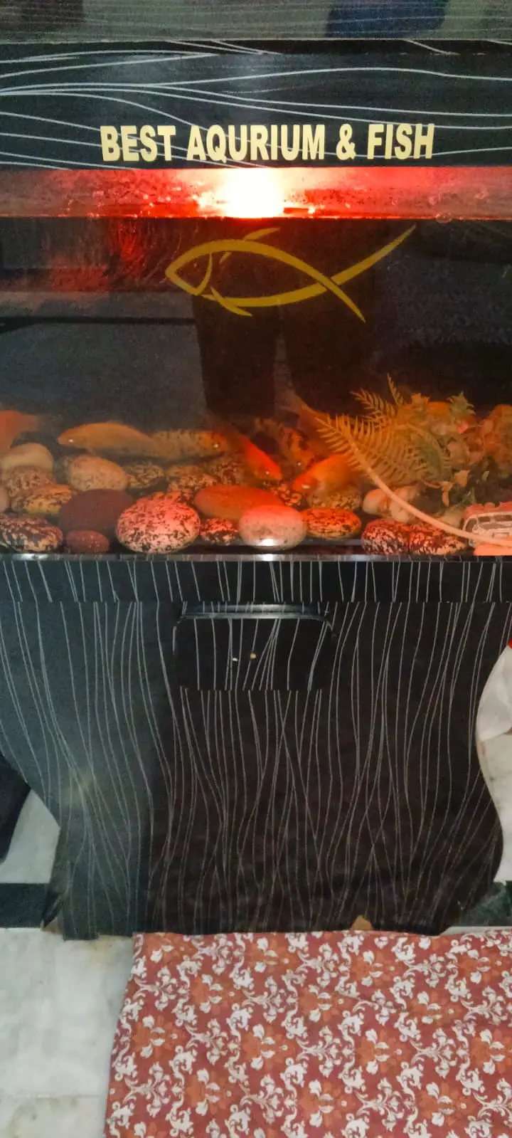 Best aquarium — photo 6