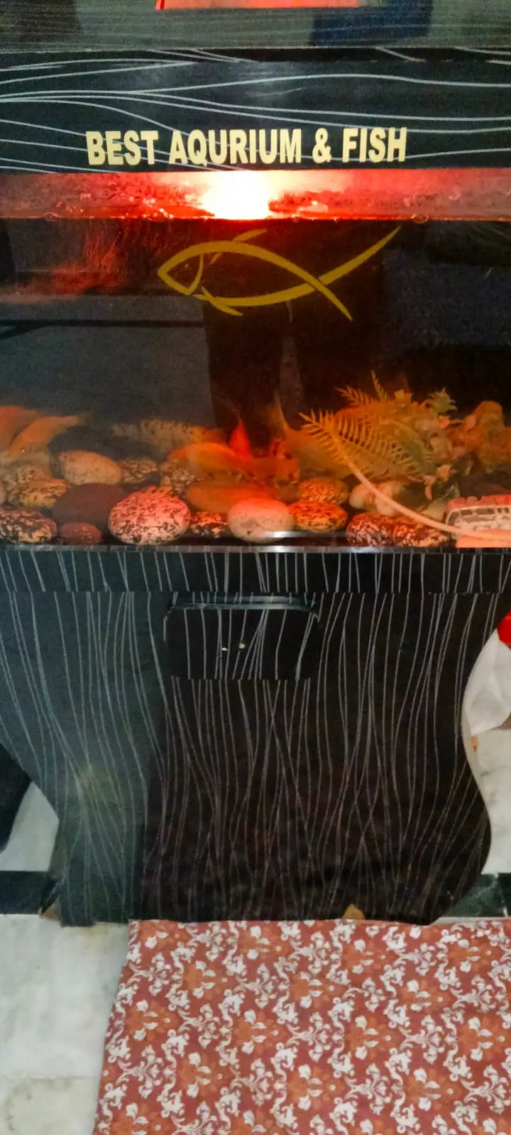Best aquarium — photo 7