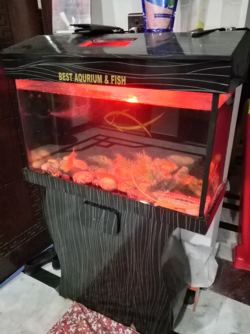 Best aquarium — photo 8