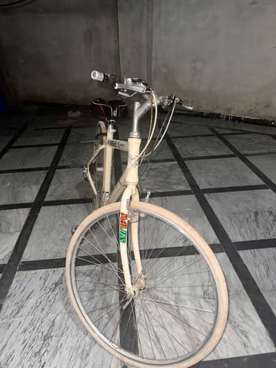 Sport Cycle