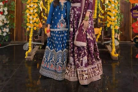 Indian Sharara(Rajistani work)
