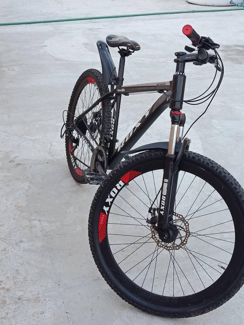 Bicycle 1