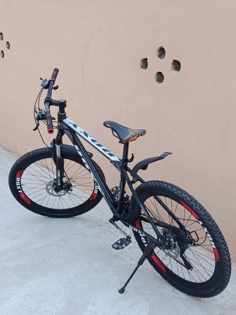 Bicycle 2