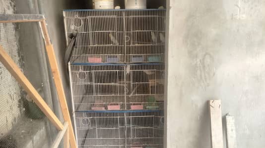 saleing 6 portion cage with birds