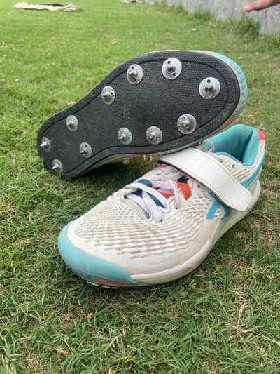 cricket spike shoes