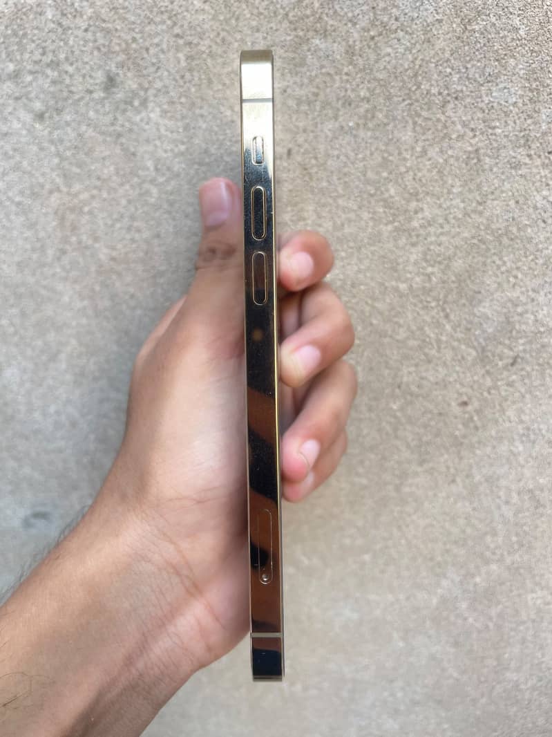 iPhone 12pro 6