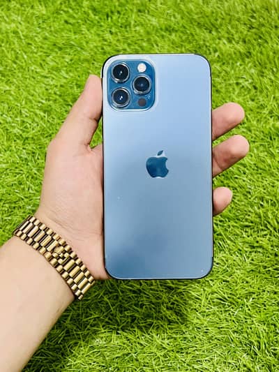 iPhone 12 Pro Max official PTA approved