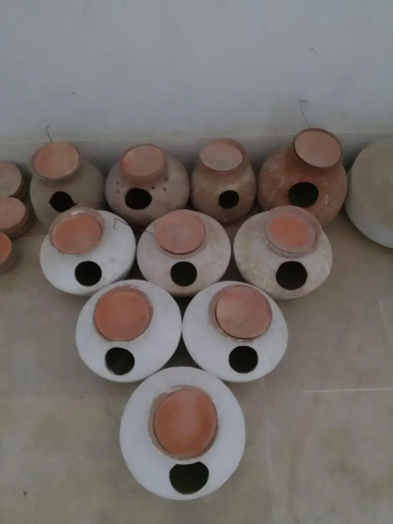 MATKA FOR BIRDS — photo 3