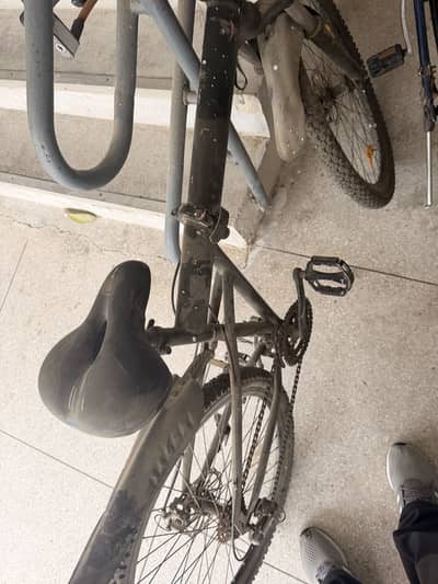 Kid Cycle