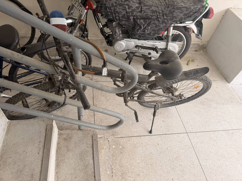 Kid Cycle 2