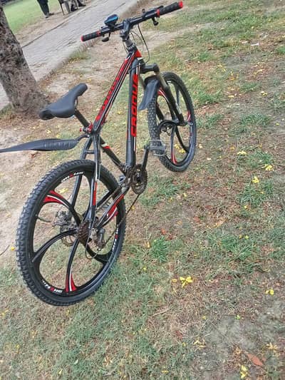 Morgan cycle 24 size