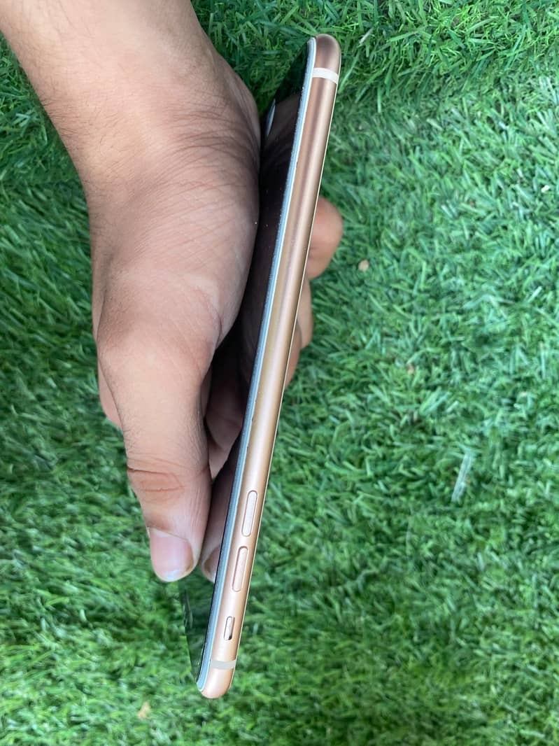 Apple iPhone 8 Plus 1