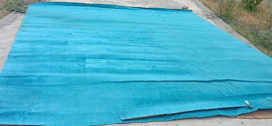 Carpets 1
