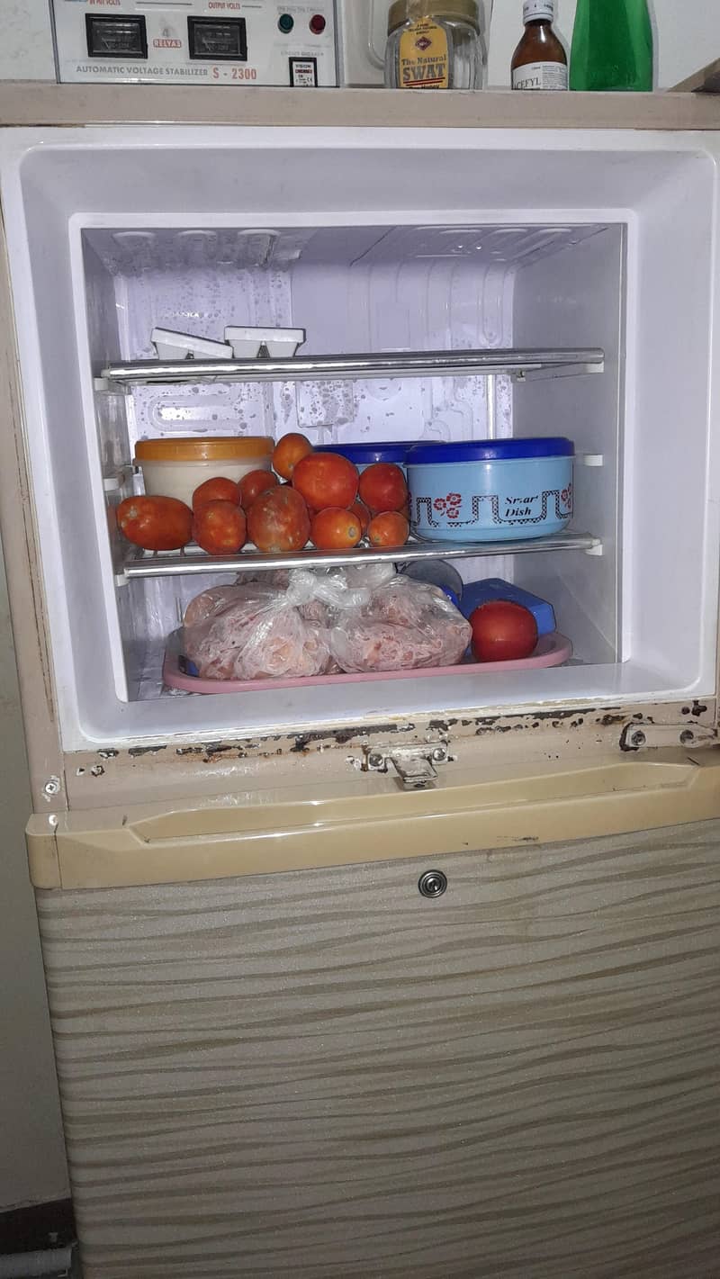 Orient Fridge 2