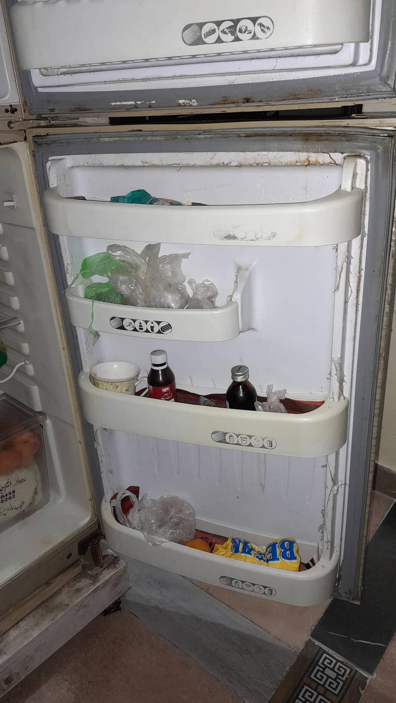 Orient Fridge 3