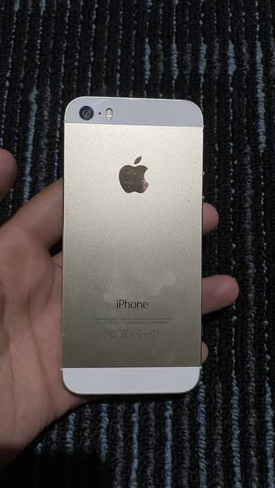 iPhone 5s